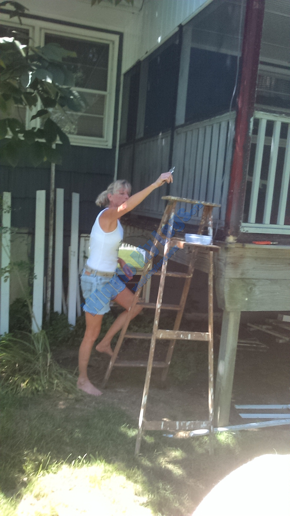 Hundreds of staples on old screen being removed left of corner post to release old screen.