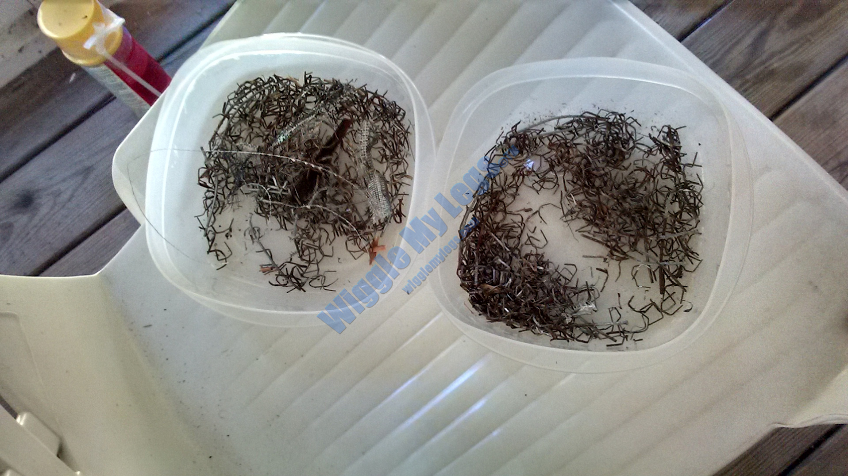 Two bowls of removed staples.