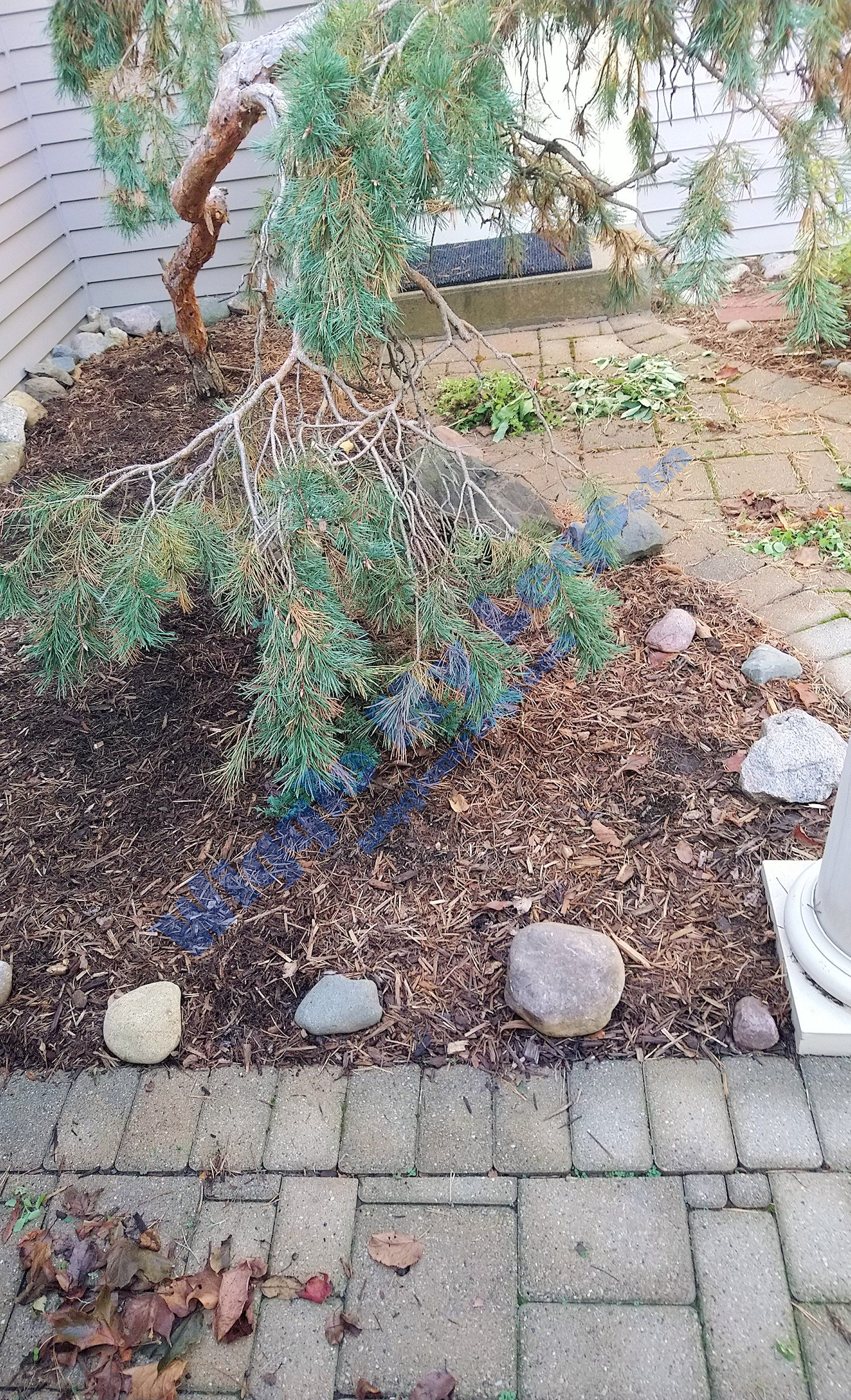 This view of the same bed is from the front porch.